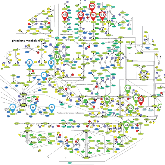 Recon Maps